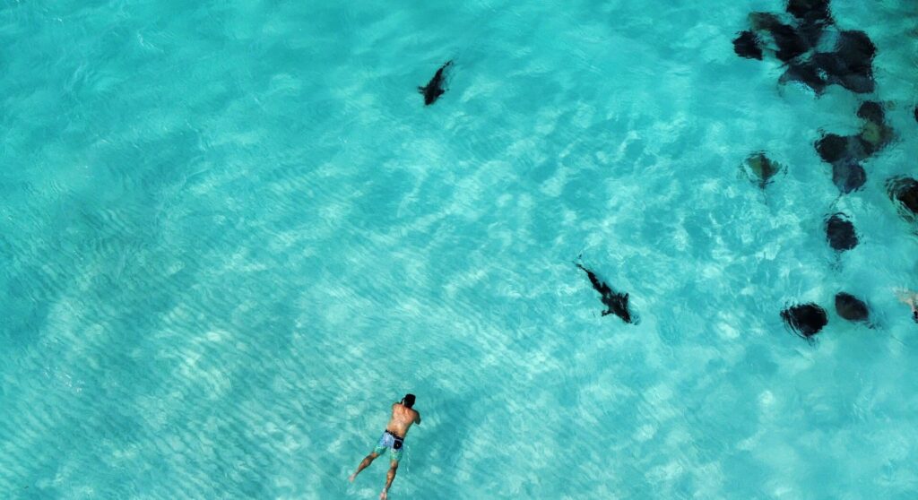 investment management company Cayman Islands